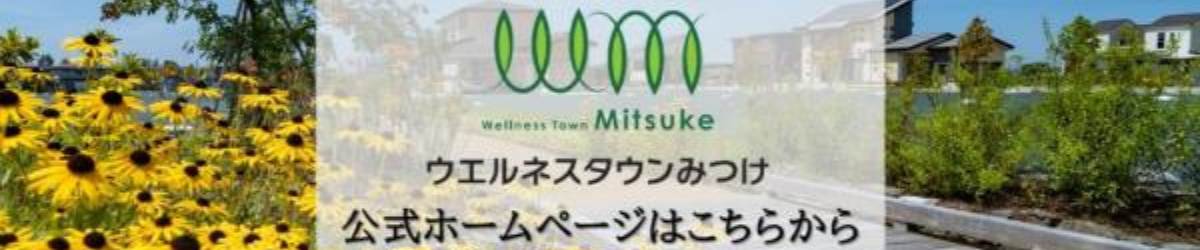 ウェルネスタウン